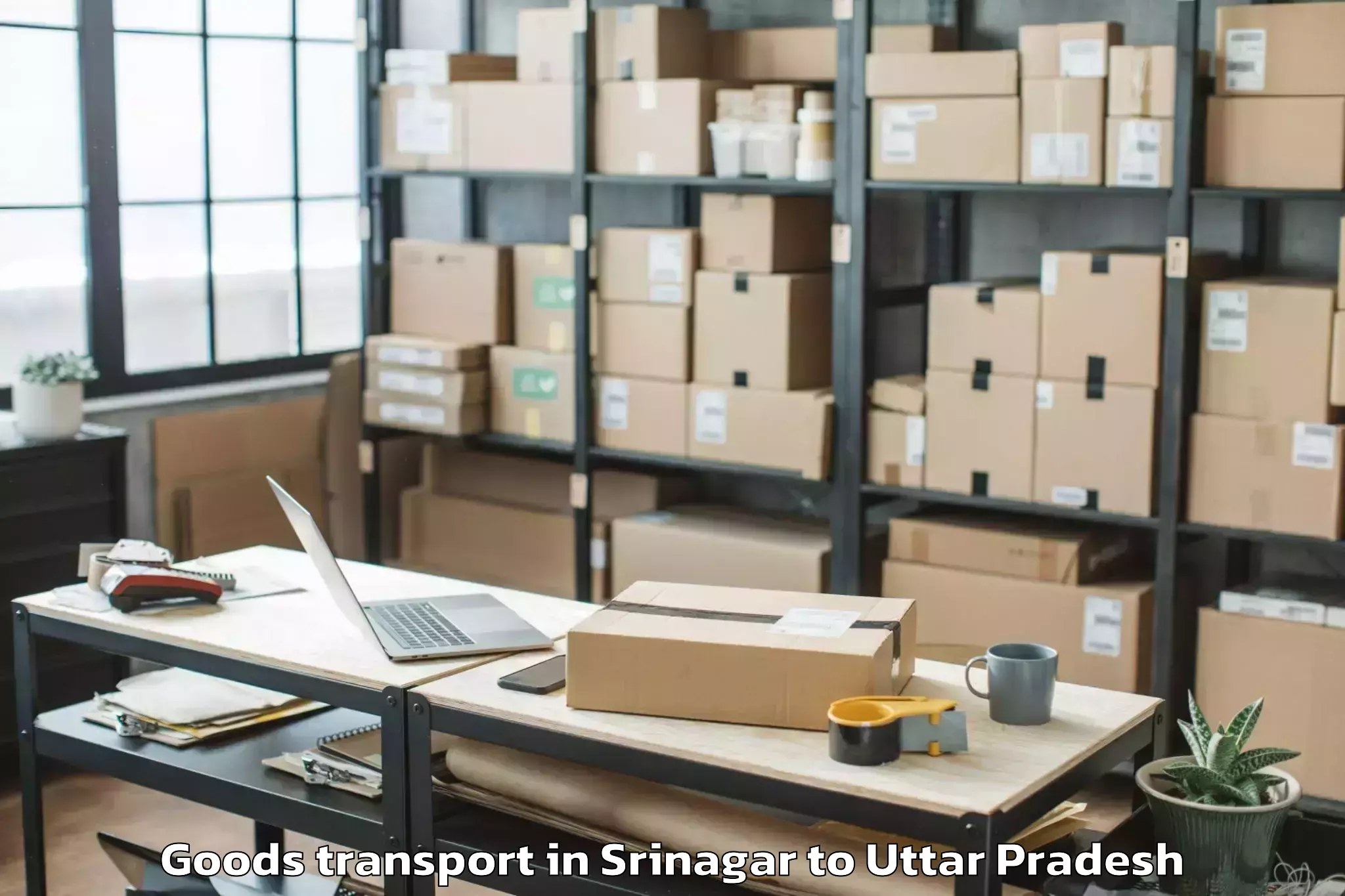 Hassle-Free Srinagar to Iftm University Moradabad Goods Transport